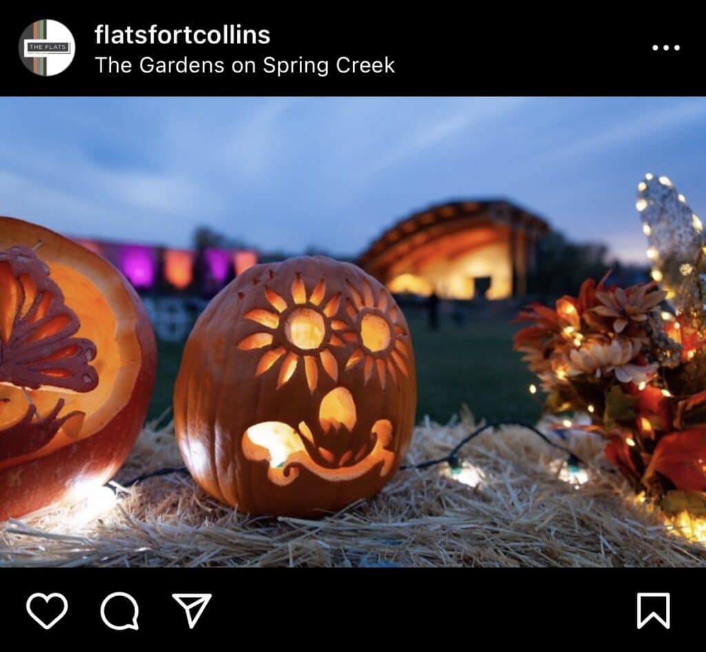 Apartment Social Media Post Ideas for Halloween