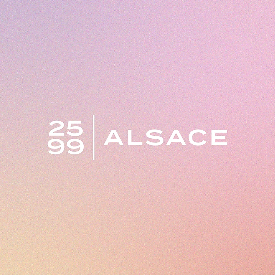 2599 alsace logo on gradient background